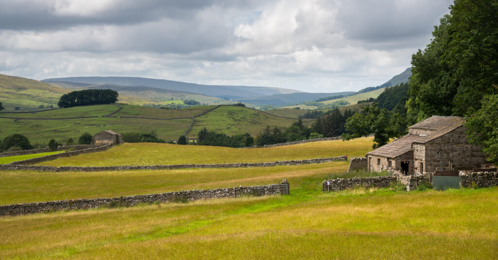 Agricultural fields and barns, Wensleydale near Hawes, Yorkshire Dales National Park, England